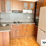 Rent 2 bedroom apartment of 44 m² in Brno