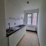 Rent 2 bedroom apartment in Borsbeek