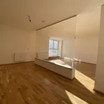 Miete 1 Schlafzimmer wohnung in Wien