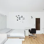 Rent 1 bedroom apartment of 25 m² in Dusseldorf