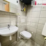 Rent 1 bedroom apartment of 30 m² in Mikulov