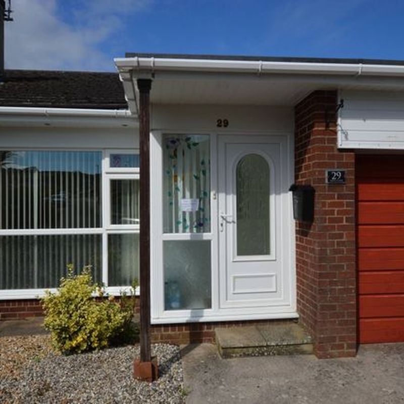 Bungalow to rent in Maple Close, Brixham, Devon TQ5 Galmpton