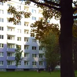 Rent 2 bedroom apartment of 57 m² in Dortmund