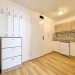 Rent 1 bedroom apartment in Brno