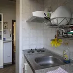 Rent 1 bedroom apartment in Turin