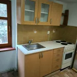 Rent 1 bedroom apartment in Děčín