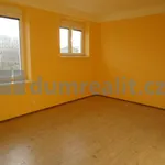 Rent 1 bedroom apartment in Praha 6