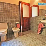 Rent 2 bedroom apartment of 60 m² in Novara