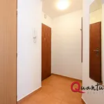 Pronajměte si 1 ložnic/e byt o rozloze 42 m² v Prague