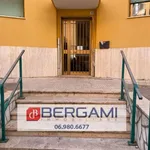 Rent 4 bedroom apartment of 67 m² in Roma