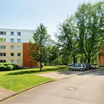 Rent 3 bedroom apartment of 74 m² in Gütersloh