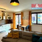 Rent 2 bedroom apartment of 57 m² in České Budějovice