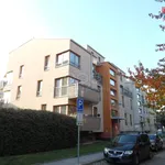 Rent 2 bedroom apartment of 45 m² in Rudná