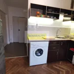 Rent 1 bedroom apartment of 28 m² in Zlín