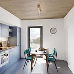 Rent 3 bedroom apartment of 10 m² in Berlin