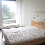 Rent 2 bedroom apartment in Prague