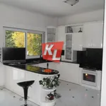 Rent 4 bedroom house of 500 m² in Athens