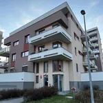 Rent 2 bedroom apartment of 44 m² in Trhový Štěpánov