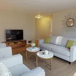 Rent 1 bedroom apartment in San Mateo