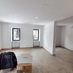 Rent 3 bedroom apartment of 80 m² in Ústí nad Labem