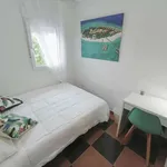 Rent a room in granada