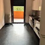 Rent 4 bedroom apartment of 150 m² in Vedano al Lambro