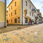 Pronajměte si 1 ložnic/e byt o rozloze 26 m² v Františkovy Lázně