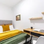 Alquilar 8 dormitorio apartamento en Madrid