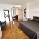 Rent 3 bedroom apartment of 92 m² in smichov