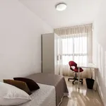 Habitación en alicante