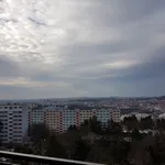 Pronajměte si 1 ložnic/e byt o rozloze 60 m² v  ulice Ibsenova