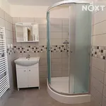 Rent 1 bedroom apartment in Sokolov