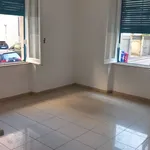 Rent 5 bedroom apartment of 130 m² in Pescara