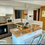 Affitto 2 camera appartamento di 180 m² in Rome