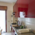 Rent a room in Roma