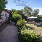 Rent 3 bedroom house of 80 m² in Montalto di Castro