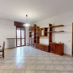 Rent 2 bedroom apartment of 85 m² in Cinisello Balsamo