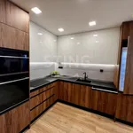 Rent 4 bedroom apartment of 74 m² in Ostrava