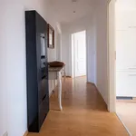 Rent 2 bedroom apartment of 50 m² in Leipzig