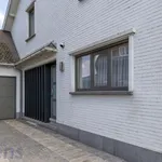 Huur 3 slaapkamer huis van 710 m² in Zwalm