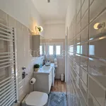 Rent 1 bedroom apartment of 30 m² in Milano