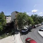 Rent a room of 120 m² in madrid