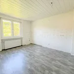 Miete 2 Schlafzimmer wohnung von 60 m² in 58093 Hagen - Holthausen