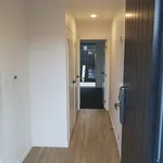 Rent 4 bedroom house in Auckland