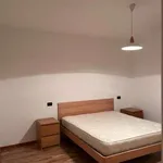 Rent 2 bedroom house of 65 m² in Trento