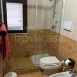 Rent 3 bedroom apartment of 60 m² in Partinico