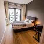 Rent 3 bedroom apartment in Brussels