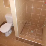 Rent 1 bedroom apartment of 22 m² in Ostrava