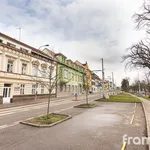 Rent 1 bedroom apartment of 20 m² in Brno