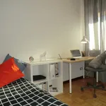 Rent 4 bedroom apartment in Padua